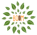 logo-BOOM