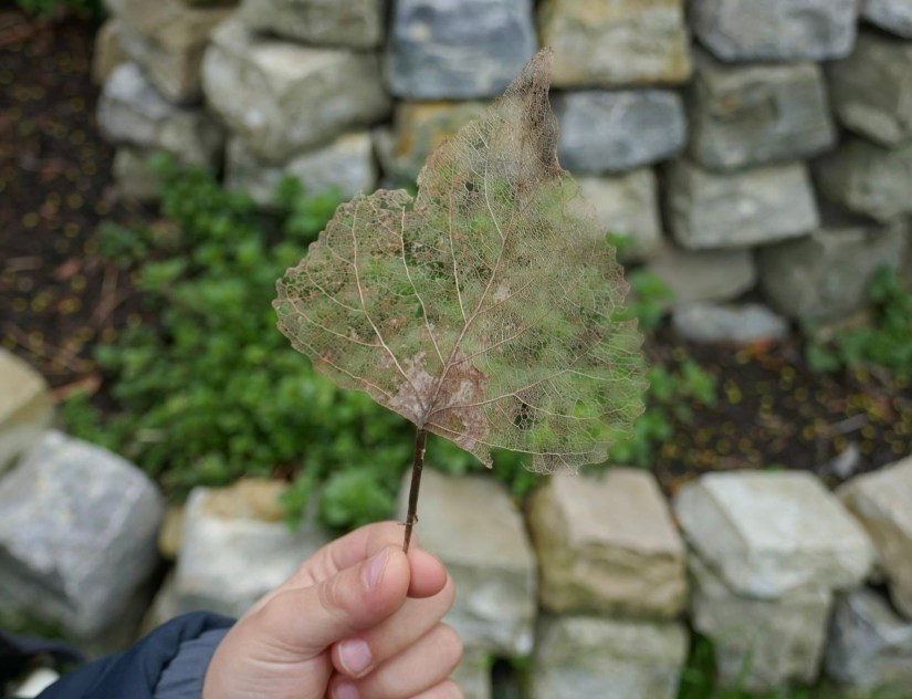 274173119_1174673662937165_6785035421497707250_n